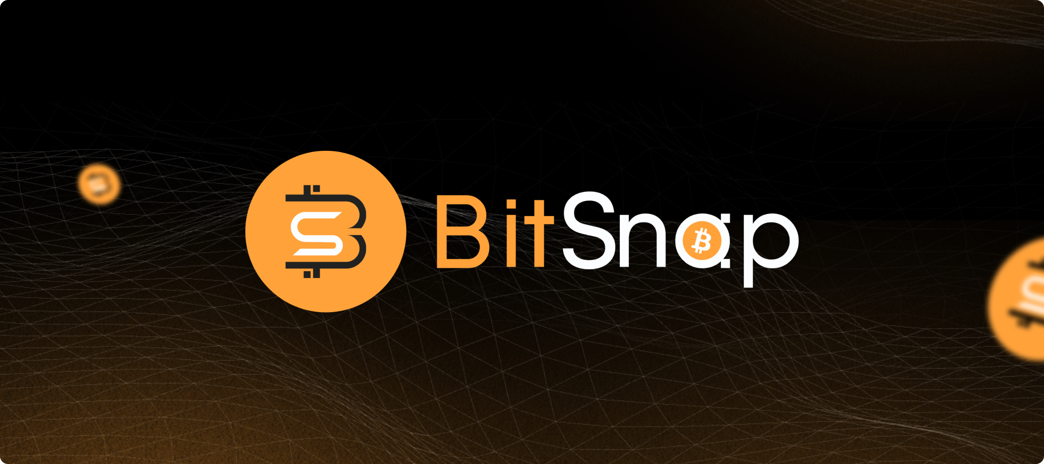 BitSnap